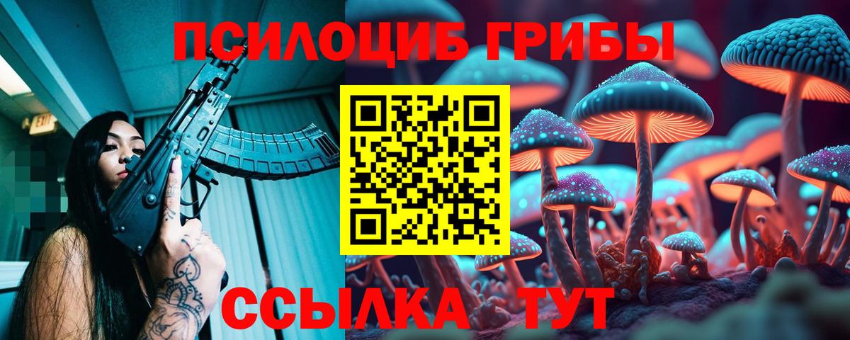 Псилоцибиновые грибы Cubensis Омск